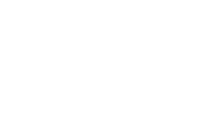 Hauskey logo